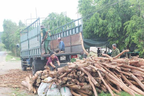 Lưu bản nháp tự động